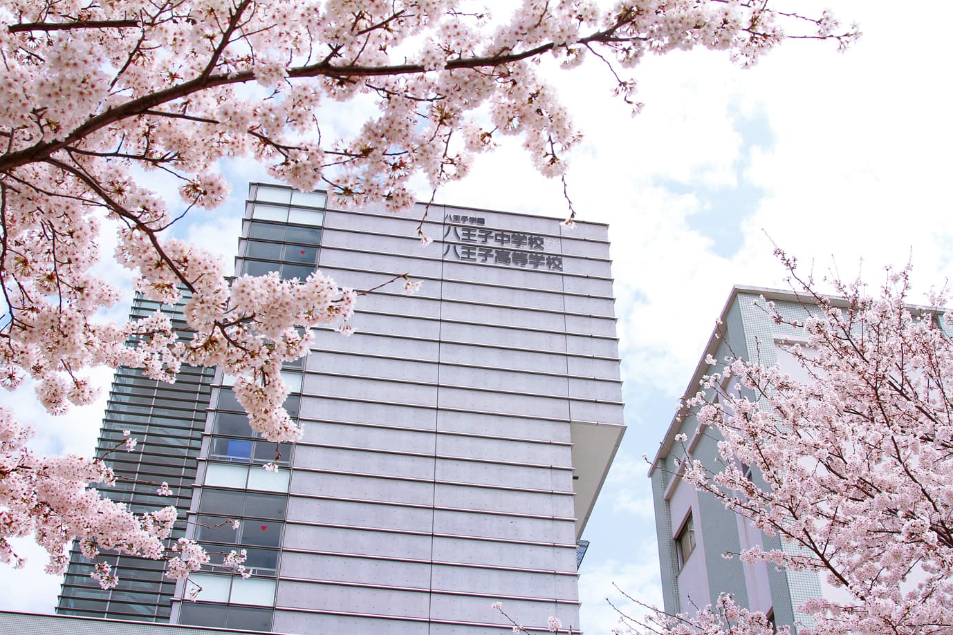 Hachioji Junior high school and Senior high school